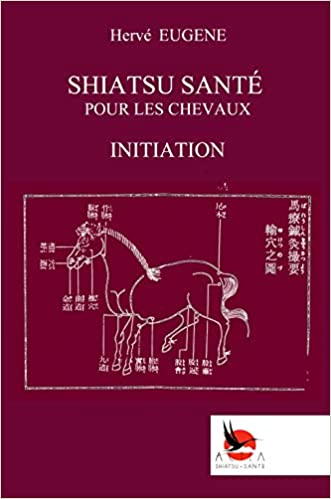 Shiatsu santé pour les chevaux : initiation