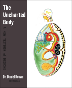 The Uncharted body